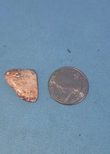 Load image into Gallery viewer, Leopard Skin Jasper Tumbled Crystal
