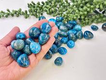 Load image into Gallery viewer, Blue Apatite Tumbled Stones 20-25mm AAA