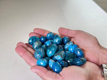 Load image into Gallery viewer, Blue Apatite Tumbled Stones 20-25mm AAA