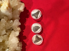 Load image into Gallery viewer, Snaggle Shark Tooth
