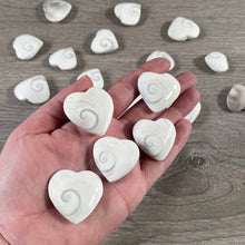 Load image into Gallery viewer, Shiva Eye Shell Heart – Metaphysical Decor & Gift Item