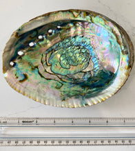 Load image into Gallery viewer, Abalone Shell Smudge Bowls (Large)