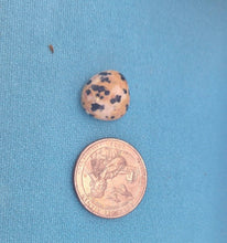 Load image into Gallery viewer, Dalmatian Jasper Tumbled Crystal
