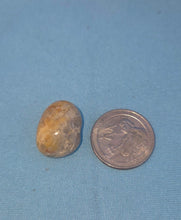 Load image into Gallery viewer, Crazy Lace Agate Tumbled Crystal
