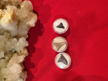 Load image into Gallery viewer, Great White Shark Tooth
