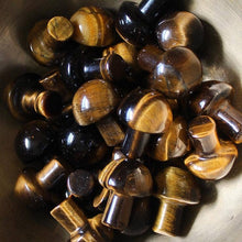 Load image into Gallery viewer, Tiger&#39;s Eye Mini Mushroom (Crystals &amp; Stones)
