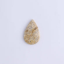 Load image into Gallery viewer, One Fossil Coral Teardrop Cab
