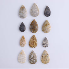 Load image into Gallery viewer, One Fossil Coral Teardrop Cab

