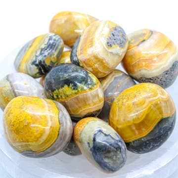 Bumble Bee Jasper Tumbled Stones 1/2 Kg
