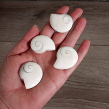 Load image into Gallery viewer, Shiva Shell Ammonite Shaped
